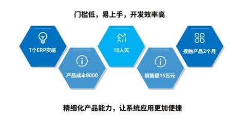 低代码用户案例 软件服务代理商的转型契机与道路