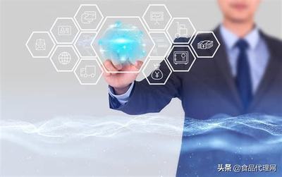 SEO软件代理服务详解 2024年核心概念、运作模式与价值解析